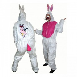 Costume de Lapin